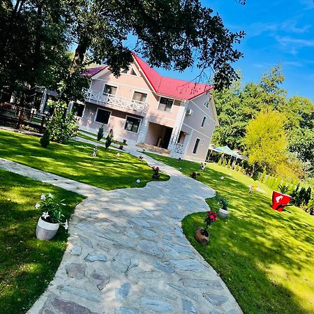 Pensiunea Pink House Runcu Hotel Runcu  Luaran gambar