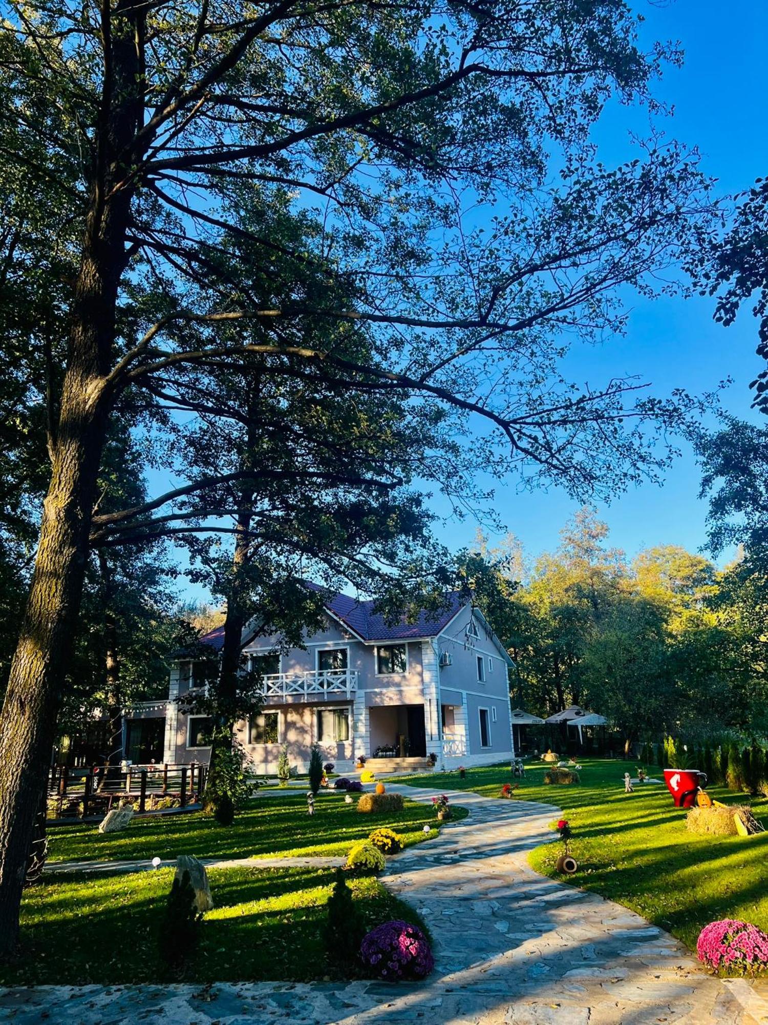 Pensiunea Pink House Runcu Hotel Runcu  Luaran gambar