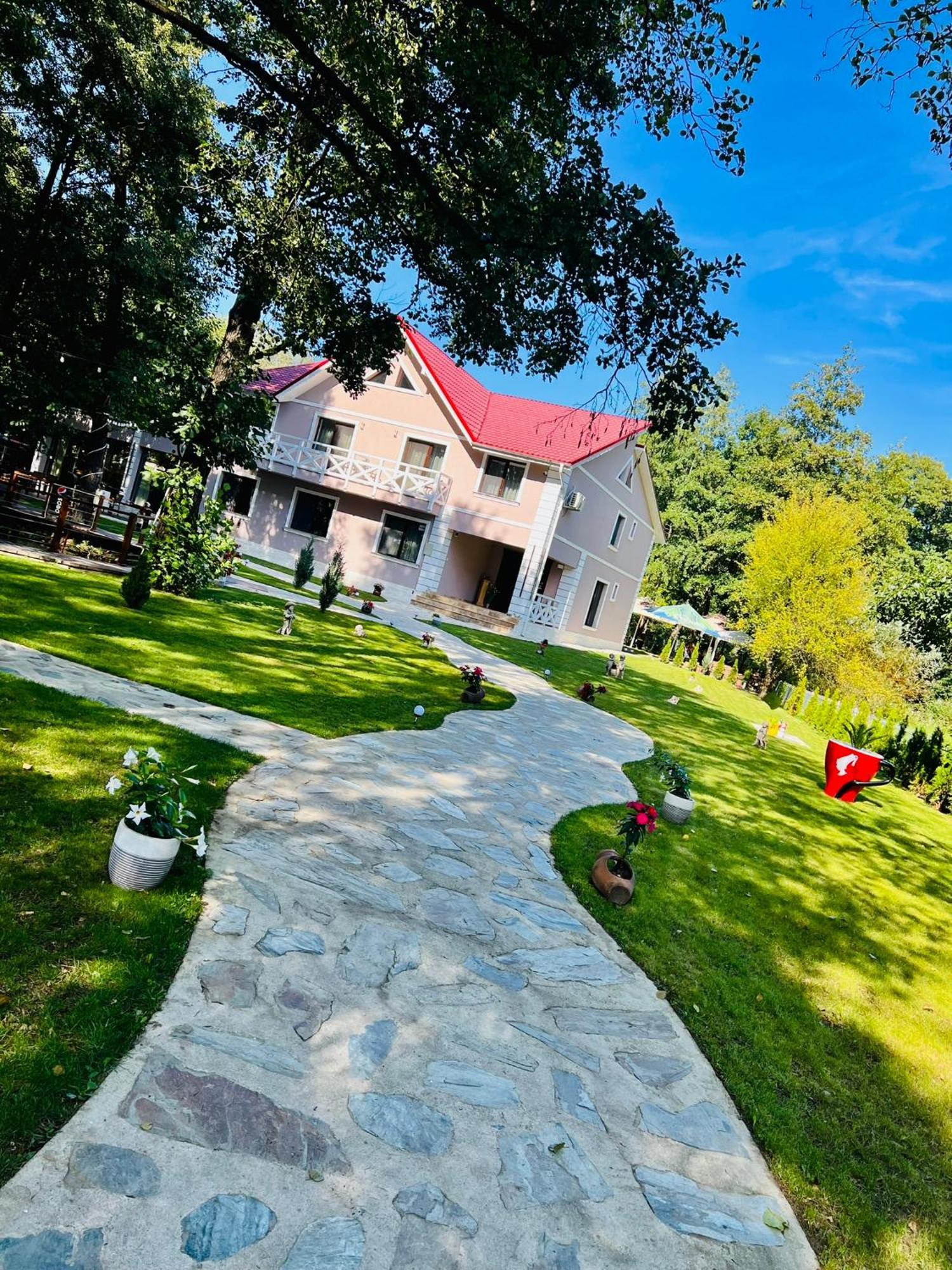Pensiunea Pink House Runcu Hotel Runcu  Luaran gambar
